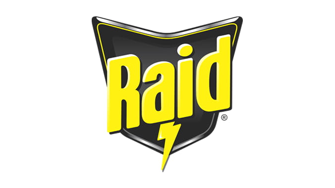 Raid